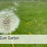 Apartment Elbe511ferienzuhause Im Parkaehnlichen Garten Mit Teich Doemitz