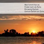 Elbe511ferienzuhause Im Parkaehnlichen Garten Mit Teich * Doemitz