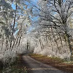 Elbe511ferienzuhause Im Parkaehnlichen Garten Mit Teich Doemitz