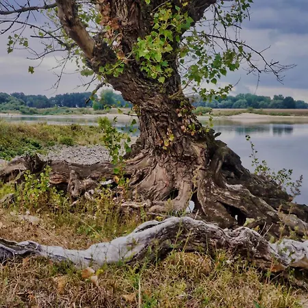 Elbe511ferienzuhause Im Parkaehnlichen Garten Mit Teich