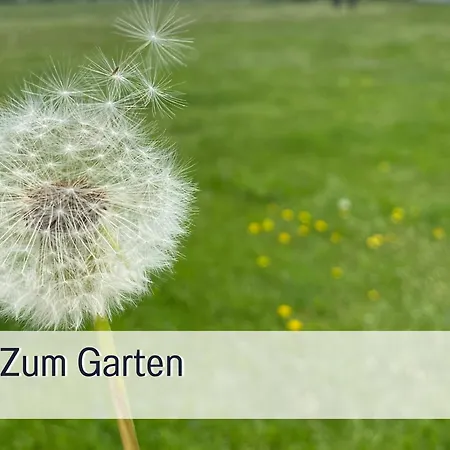 Apartamento Elbe511ferienzuhause Im Parkaehnlichen Garten Mit Teich Dömitz