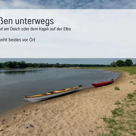 Elbe511ferienzuhause Im Parkaehnlichen Garten Mit Teich Apartamento *