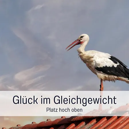Apartamento Elbe511ferienzuhause Im Parkaehnlichen Garten Mit Teich