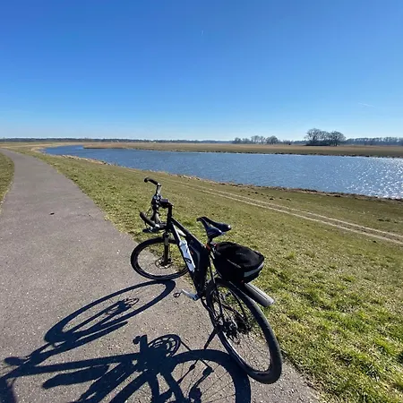 Elbe511ferienzuhause Im Parkaehnlichen Garten Mit Teich Dömitz