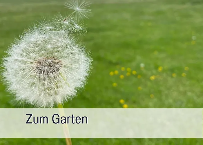 公寓 Elbe511ferienzuhause Im Parkaehnlichen Garten Mit Teich Dömitz