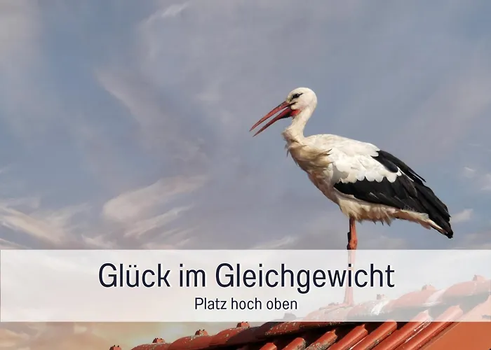 公寓 Elbe511ferienzuhause Im Parkaehnlichen Garten Mit Teich