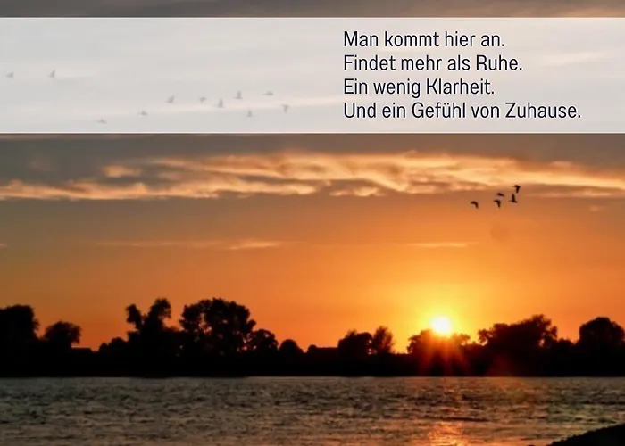 Elbe511ferienzuhause Im Parkaehnlichen Garten Mit Teich * Dömitz