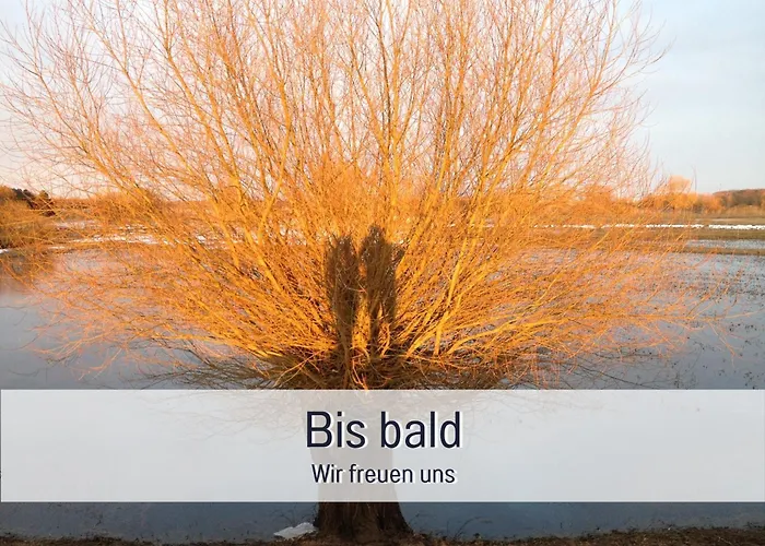 公寓 Elbe511ferienzuhause Im Parkaehnlichen Garten Mit Teich