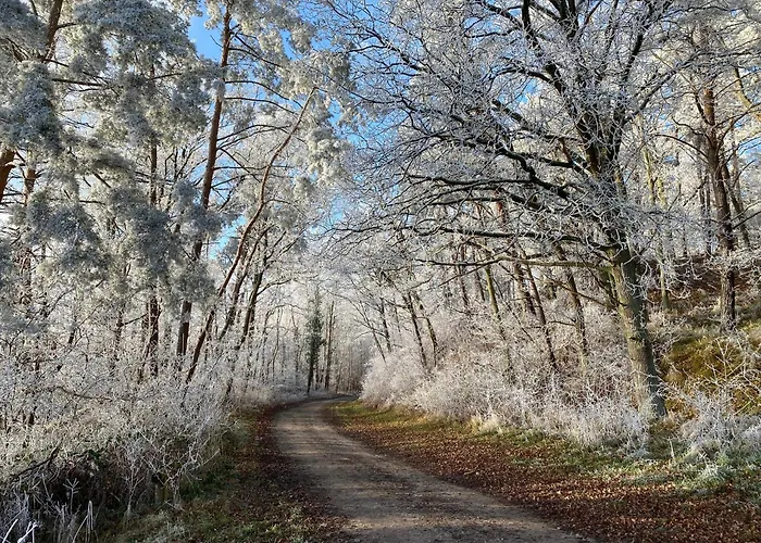Elbe511ferienzuhause Im Parkaehnlichen Garten Mit Teich Dömitz