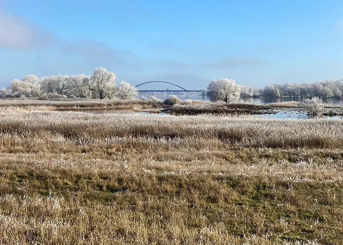 Elbe511ferienzuhause Im Parkaehnlichen Garten Mit Teich Dömitz